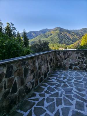 ფოტო 5: ბინა ბორჯომში