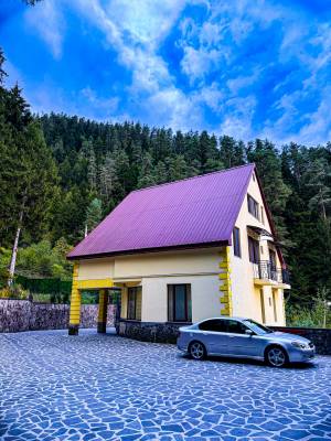 ფოტო 10: ბინა ბორჯომში