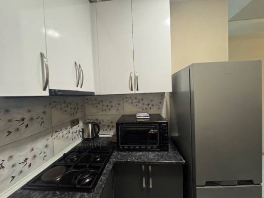 ფოტო 4: ქირავდება