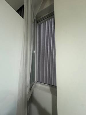 ფოტო 10: ქირავდება