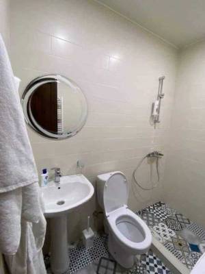 ფოტო 8: ქირავდება აპარტამენტი ბაკურიანში