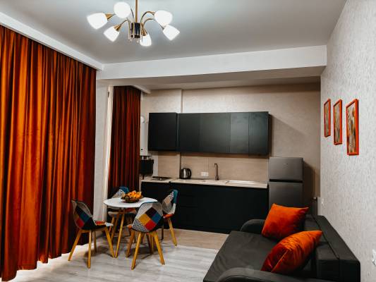 ფოტო 4: ქირავდება ბინა ბაკურიანში