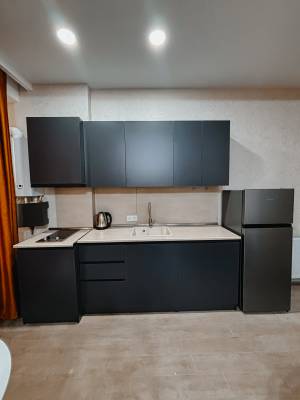 ფოტო 6: ქირავდება ბინა ბაკურიანში