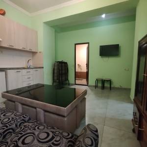 ქირავდება ოროთახიანი ბინა კიკვიძის პარკთან