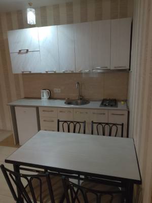 ფოტო 2: ბაკურიანში ქირავდება ბინა