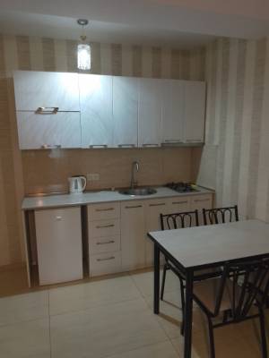 ფოტო 9: ბაკურიანში ქირავდება ბინა