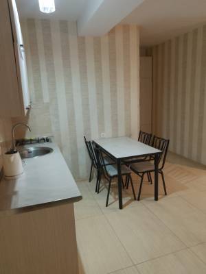 ფოტო 10: ბაკურიანში ქირავდება ბინა