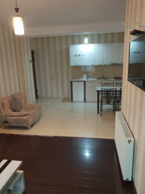 ფოტო 11: ბაკურიანში ქირავდება ბინა