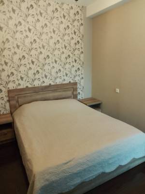 ფოტო 14: ბაკურიანში ქირავდება ბინა