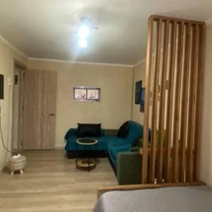 ქირავდება ერთოთახიანი ბინა ორთაჭალაში დღიურად