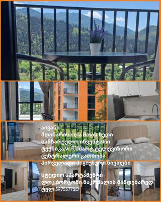 ფოტო 13: ქირავდება აპარტამენტი სტუდიო