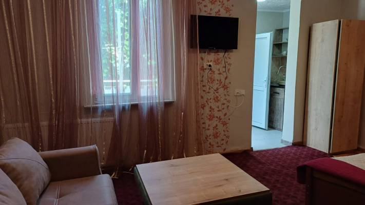 ფოტო 5: ქირავდება ბორჯომში დღიურად