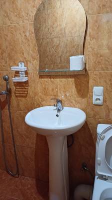 ფოტო 6: ქირავდება ბორჯომში დღიურად