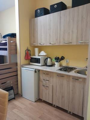 ფოტო 2: ქირავდება ბინა ბაკურიანში