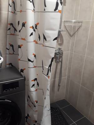 ფოტო 12: ქირავდება ბინა ბაკურიანში