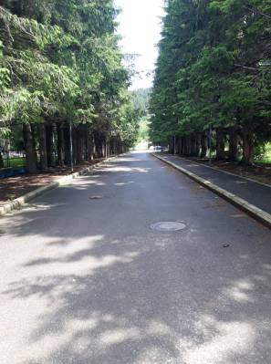 ფოტო 19: ქირავდება ბინა ბაკურიანში