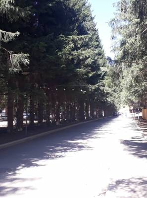 ფოტო 21: ქირავდება ბინა ბაკურიანში