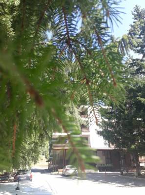 ფოტო 22: ქირავდება ბინა ბაკურიანში