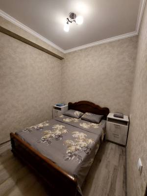 ფოტო 4: ქირავდება დღიურად და საათობრივად 2 ოთახიანი ბინა დიდ დიღომში