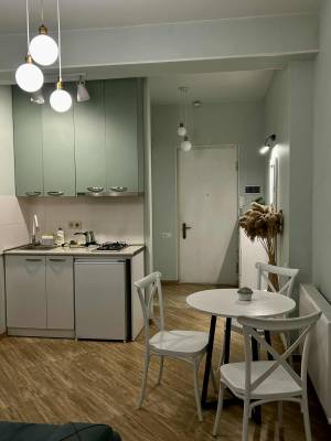 ფოტო 8: ს. ცინცაძის N-17.