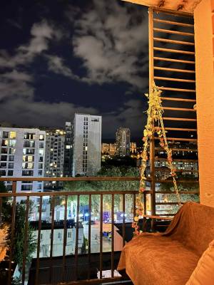 ფოტო 1: ს. ცინცაძის N-17.