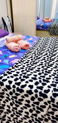 ფოტო 2: ქირავდება მყუდრო ბინა ნუცუბიძის ქუჩაზე