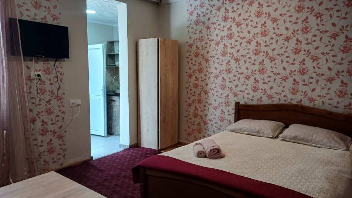 ფოტო 4: ქირავდება ბორჯომში დღიურად