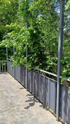 ფოტო 8: ქირავდება ბორჯომში დღიურად