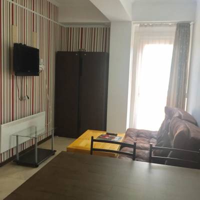 ფოტო 8: ქირავდება ოროთახიანი ლუქსის ტიპის ბინა ბაკურიანის „მგზავრებში“