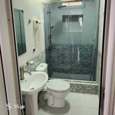 ფოტო 8: ქირავდება კოტეჯი ლიკანში/დასვენება ბორჯომში