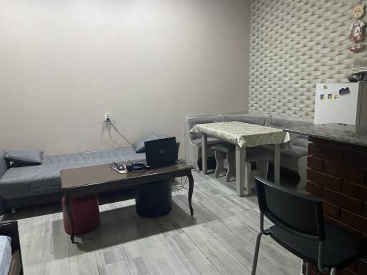 ფოტო 10: ქირავდება