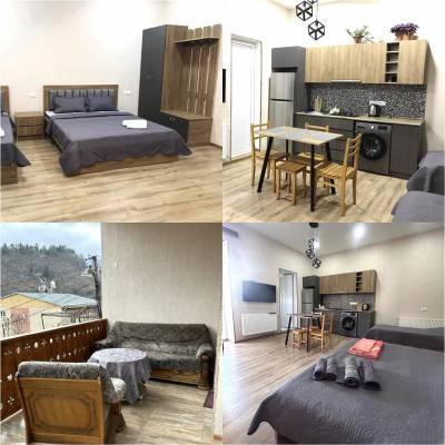 ფოტო 6: ქირავდება კერძო სახლი ბორჯომში