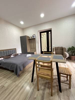 ფოტო 9: ქირავდება კერძო სახლი ბორჯომში