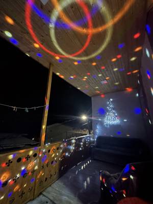 ფოტო 10: ქირავდება კერძო სახლი ბორჯომში