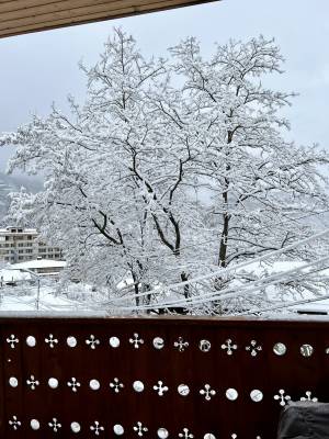 ფოტო 11: ქირავდება კერძო სახლი ბორჯომში