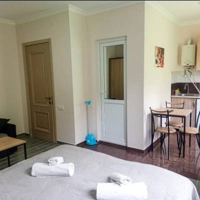 ფოტო 2: ქირავდება ბინა ბორჯომში ლიკანში