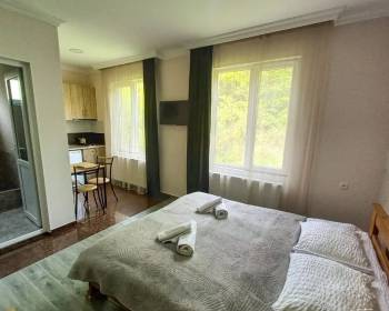 ქირავდება ბინა ბორჯომში ლიკანში