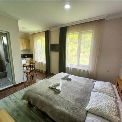 ფოტო 1: ქირავდება ბინა ბორჯომში ლიკანში