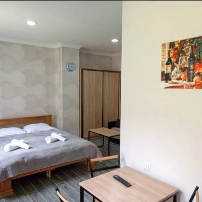 ფოტო 4: ქირავდება ბინა ბორჯომში ლიკანში