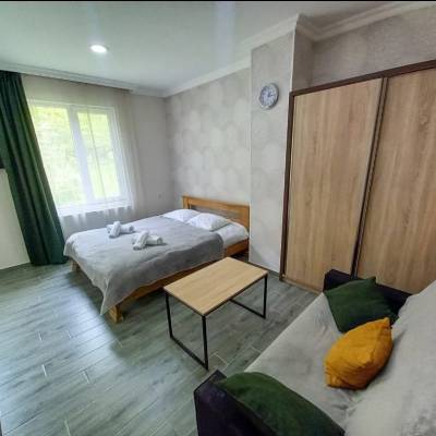 ფოტო 6: ქირავდება ბინა ბორჯომში ლიკანში