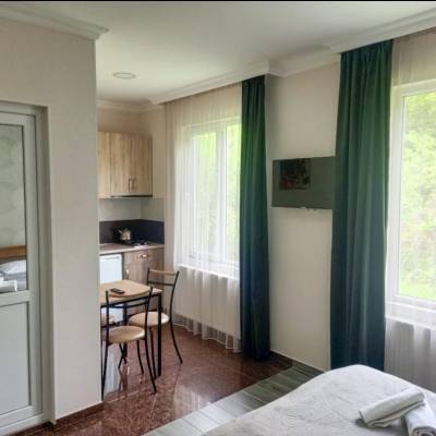 ფოტო 8: ქირავდება ბინა ბორჯომში ლიკანში