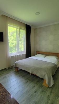 ფოტო 3: დასვენება ბორჯომში ლიკანში