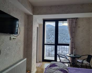 ქირავდება ახალი გარემონტებული აპარტამენტი სტუდიო