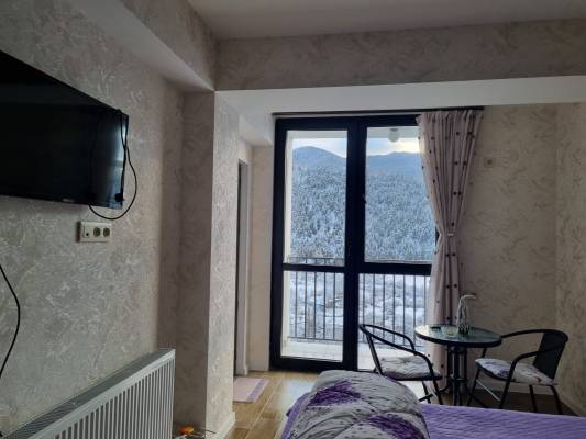 ფოტო 1: ქირავდება ახალი გარემონტებული აპარტამენტი სტუდიო