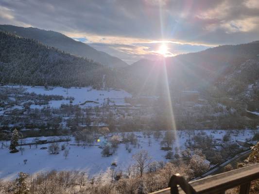 ფოტო 2: ქირავდება ახალი გარემონტებული აპარტამენტი სტუდიო