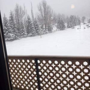 ბაკურიანი პლაზა