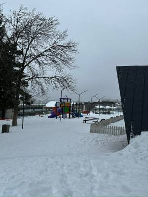 ფოტო 4: თავისუფალია 13 იანვრიდან