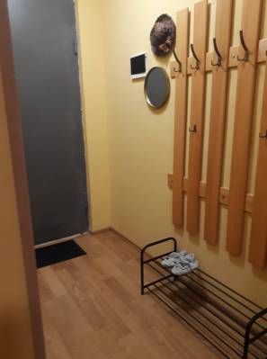 ფოტო 9: ქირავდება ბინა ბაკურიანში