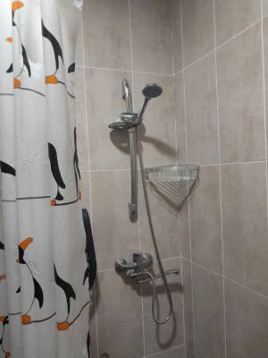 ფოტო 12: ქირავდება ბინა ბაკურიანში