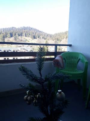 ფოტო 15: ქირავდება ბინა ბაკურიანში